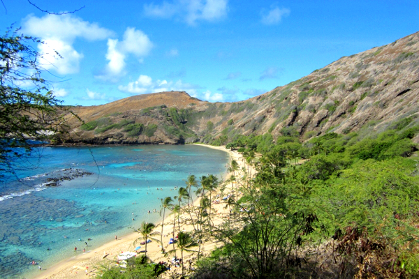 待望の新規案件は、常夏の島ハワイ！
